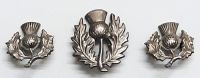 set of 3 Collar Badges